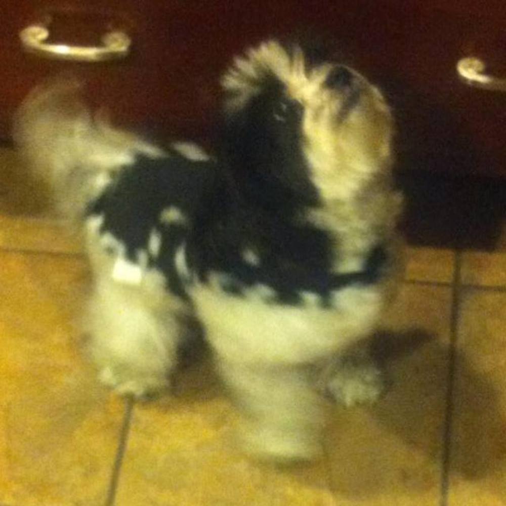 Meet your Posher, Debbie